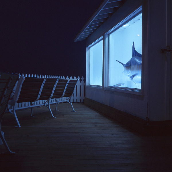 ¶ִһ˿ տֳŵĽͷӰ