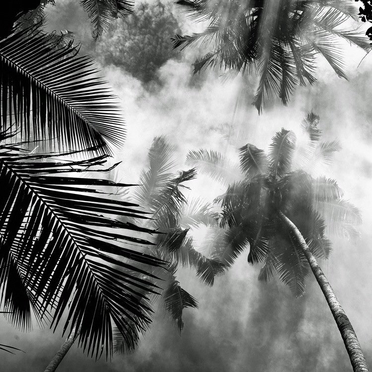 梦幻的黑白影像 摄影师用镜头表现水墨画意境