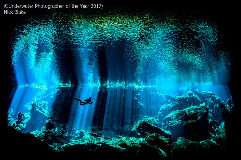 2017年海底世界摄影大赛获奖作品欣赏