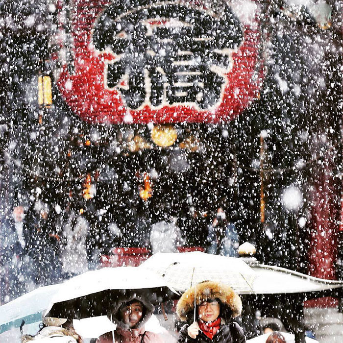 红叶未落尽雪已至 红白色彩下梦幻的东京初雪