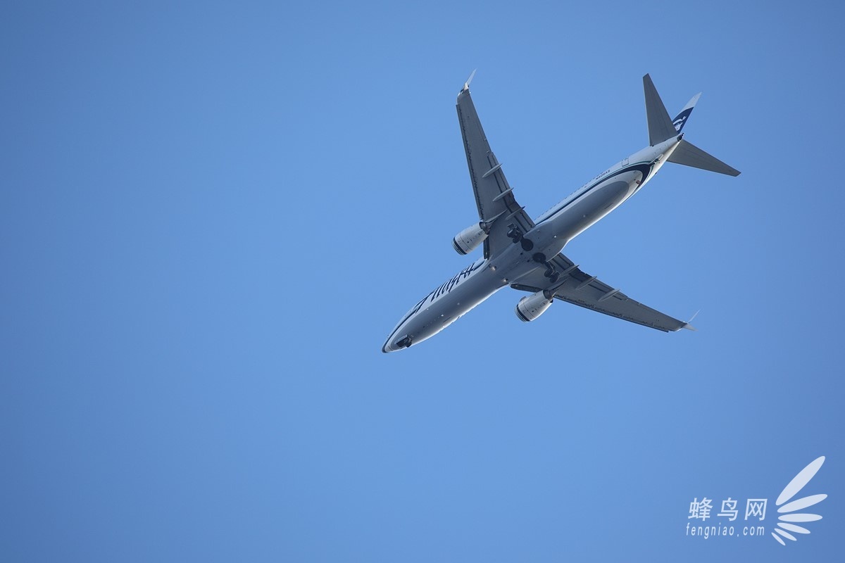 专注运动打鸟 腾龙150-600mm G2街拍样张