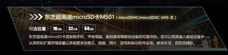֥EXCERIA PRO M501 microSD