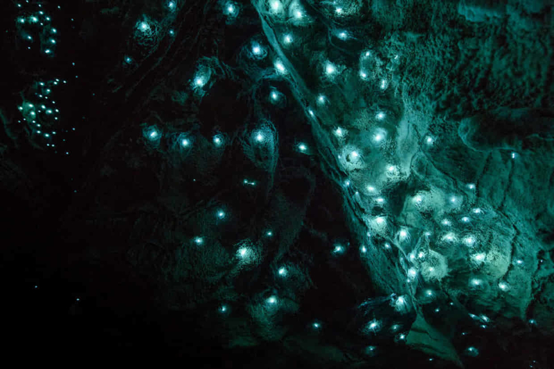 地底的星空 摄影师带你探秘新西兰萤火虫洞