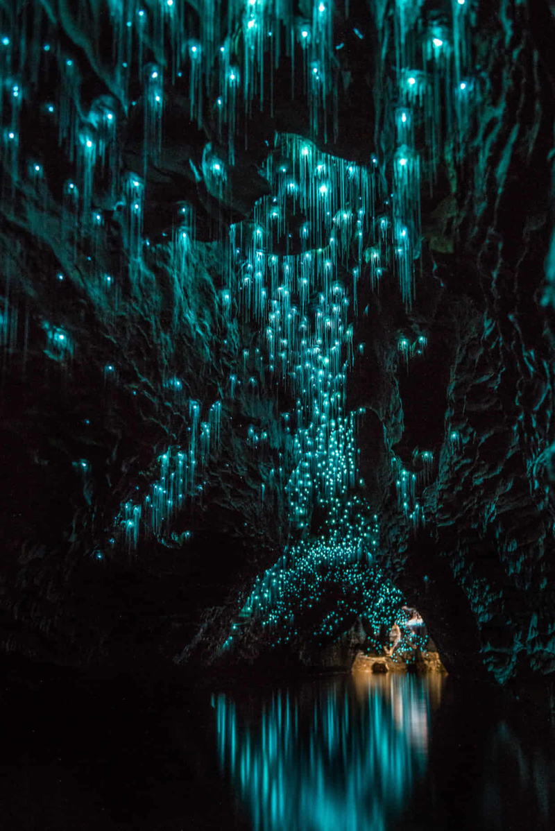 地底的星空 摄影师带你探秘新西兰萤火虫洞