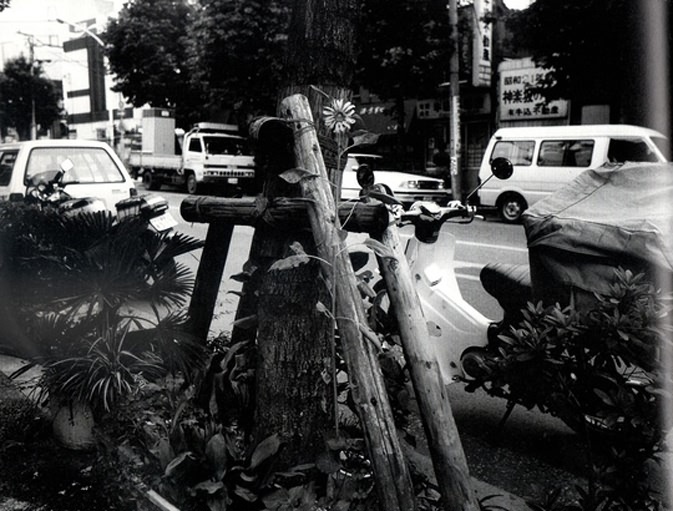 记录生活的林林总总  看荒木经惟的东京物语