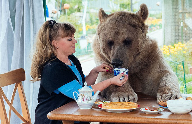 与熊起舞的人生 俄罗斯夫妇和23岁的熊孩子
