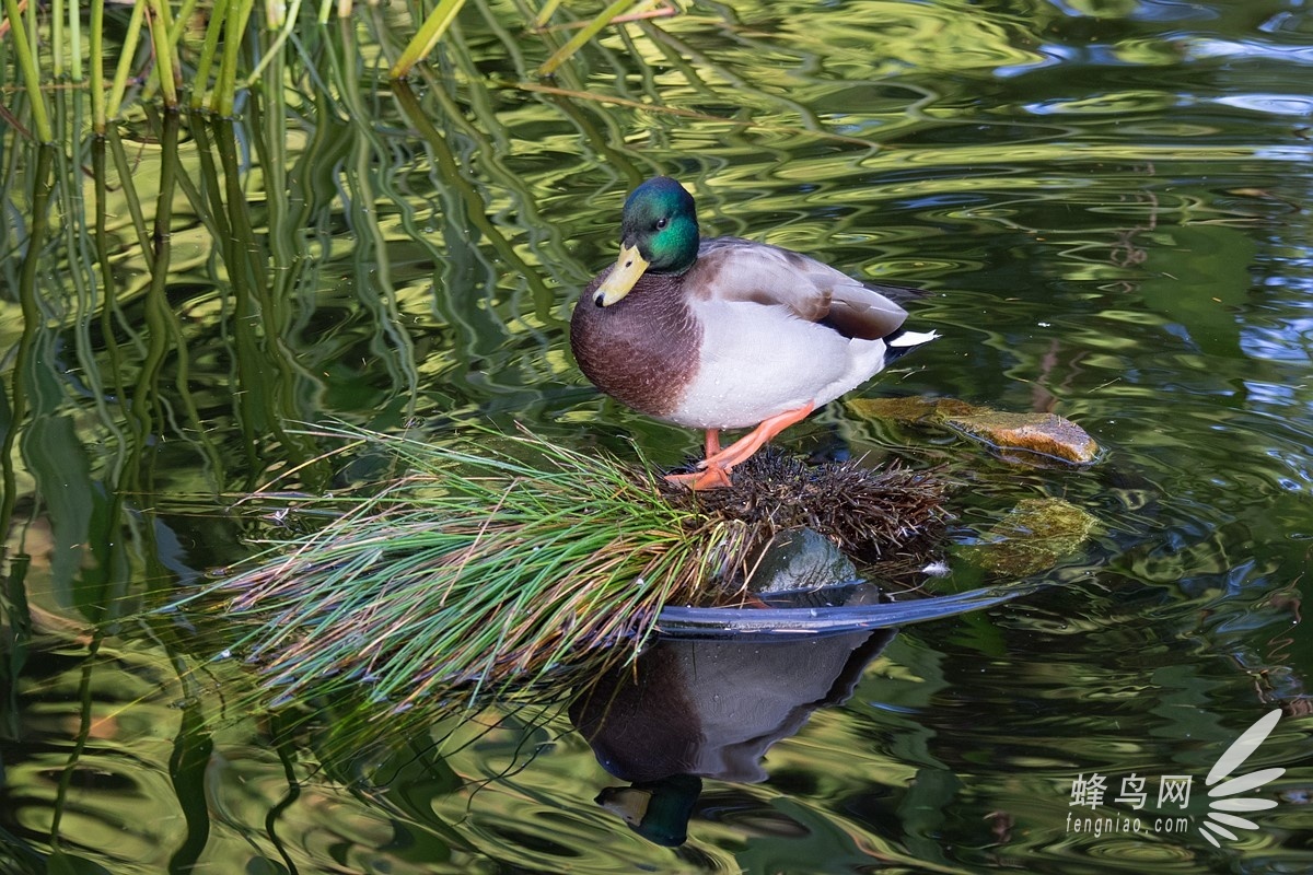 旅行神镜 奥林巴斯M.Zuiko12-100mm F4样片