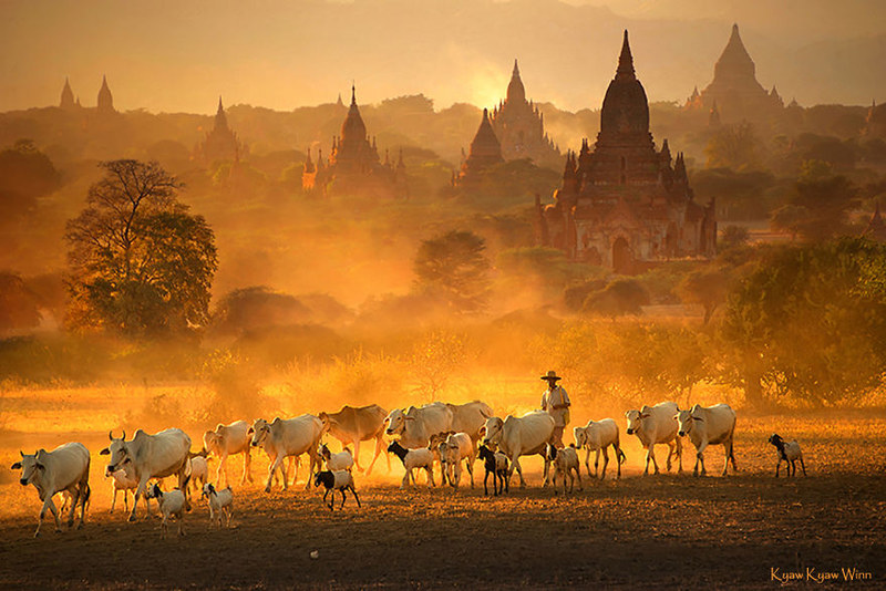 一个充满信仰的国度 非同寻常的缅甸照片