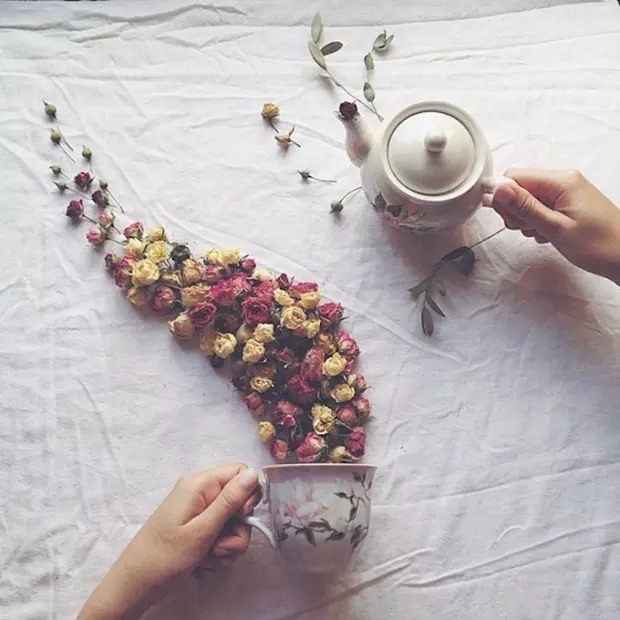茶壶中倒出来的植物世界 创意拍摄其实很简单