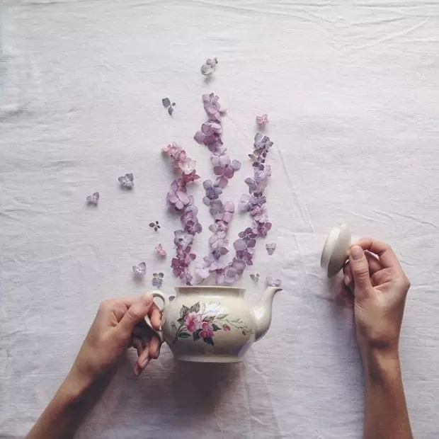 茶壶中倒出来的植物世界 创意拍摄其实很简单