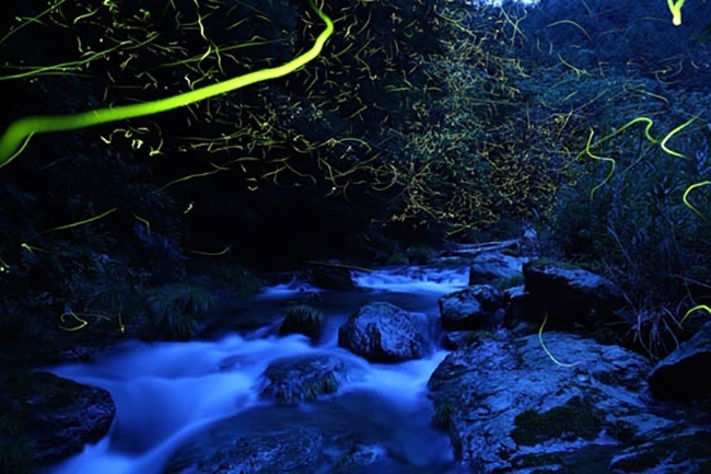 “日本之光”摄影师对大自然复杂而丰富的情感