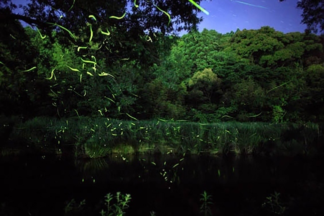 “日本之光”摄影师对大自然复杂而丰富的情感