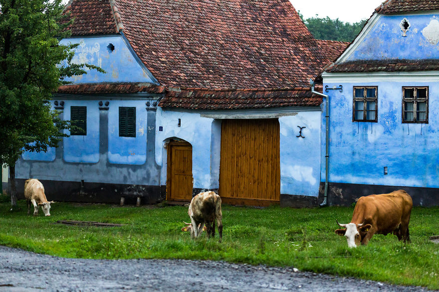 乡村田野的美丽画卷 特兰西瓦尼亚乡村风情