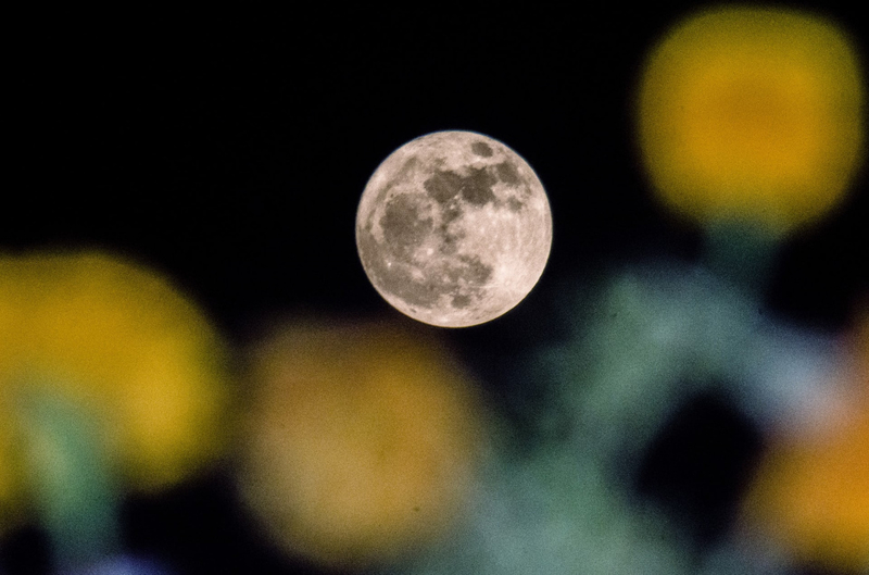 超级月亮的奇观大片 超越视觉的震撼场景