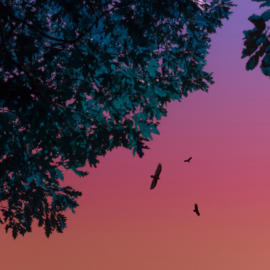 ɫŨصĴ羰 ƽļ