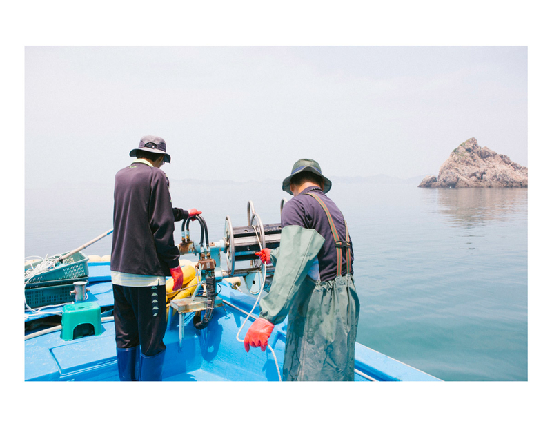 韩国3000人口的小渔村 宁静整洁的捕鱼生活
