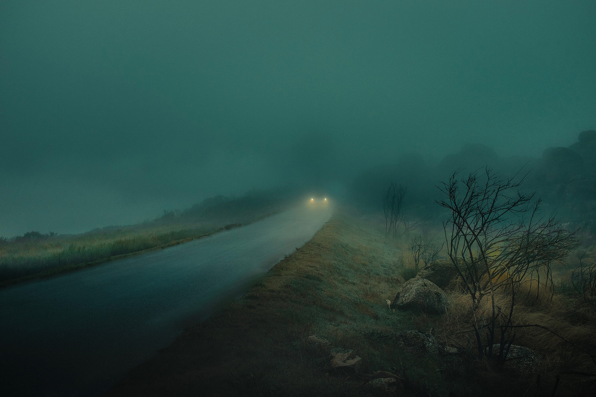 夜色迷茫大雾滂沱 孤独深邃的城市与自然