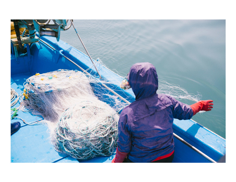 韩国3000人口的小渔村 宁静整洁的捕鱼生活
