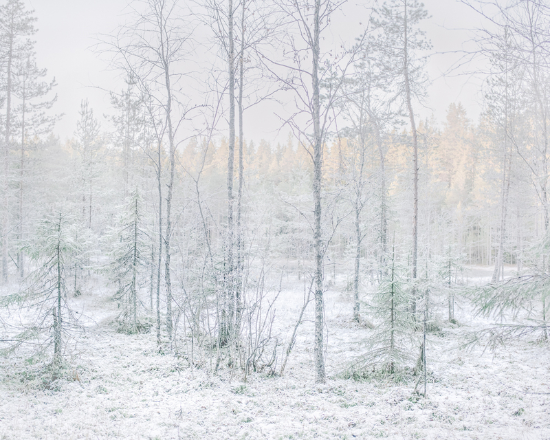 49张照片探冬日究竟 摄影的创造力无视寒冷