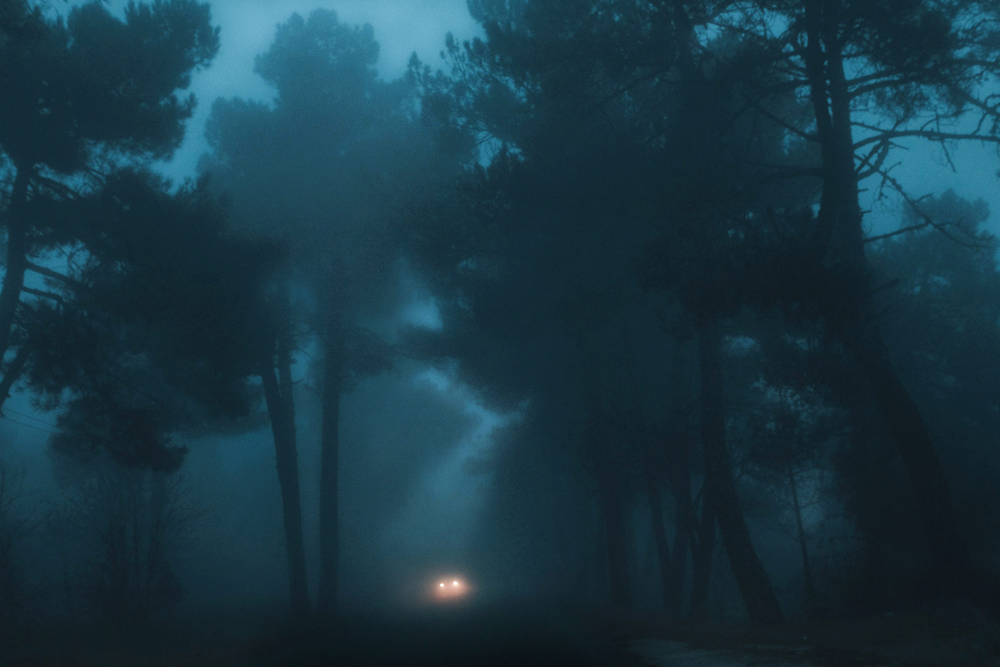 夜色迷茫大雾滂沱 孤独深邃的城市与自然