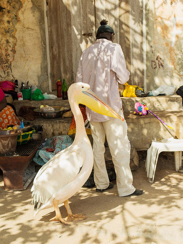 旅途中的随意之美 塞内加尔的彩色视觉日记