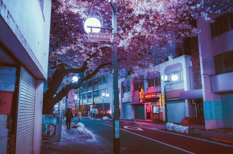 记录日本一年四季的烂漫夜色 安静中的浮华岁月