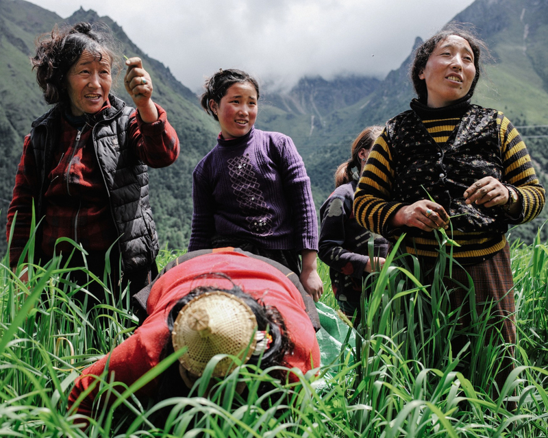 藏匿于喜马拉雅山中秘境 被世人忽略的不丹