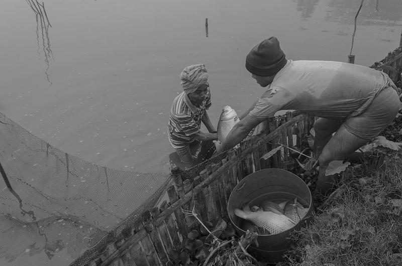 迷雾笼罩的印度小渔村 以渔为生的日常“耕作”