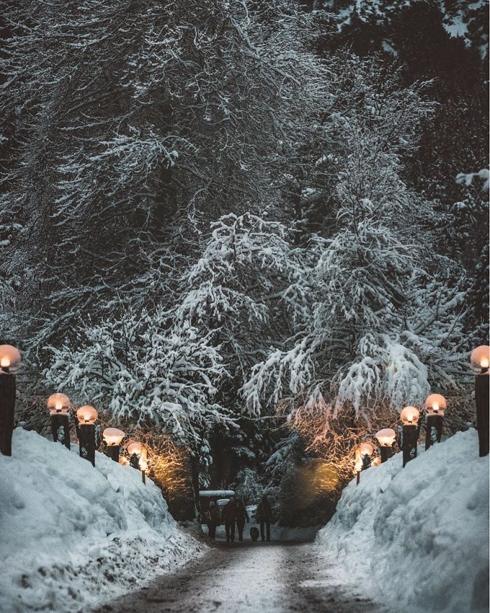 童话般的冬季梦幻乡村 奥地利的清新冬日美景