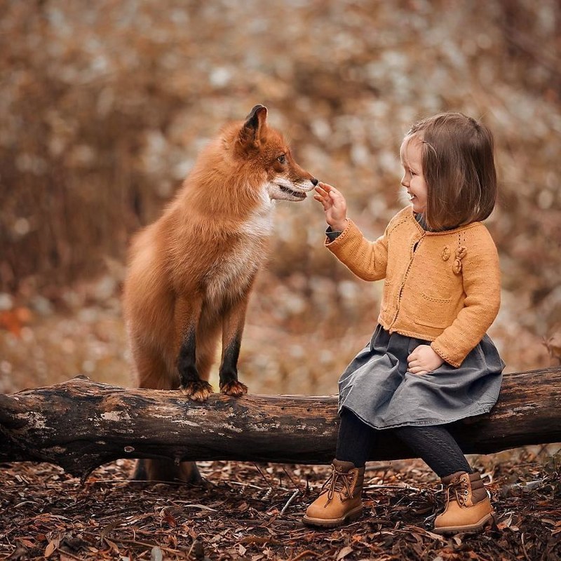 用镜头讲述现实唯美童话 儿童与动物的精美合影