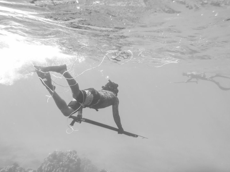 清澈见底的海底世界 冲浪潜水圣地毛伊岛