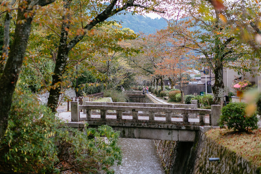 深入日本感受美好旅途 领略精致细腻的国家