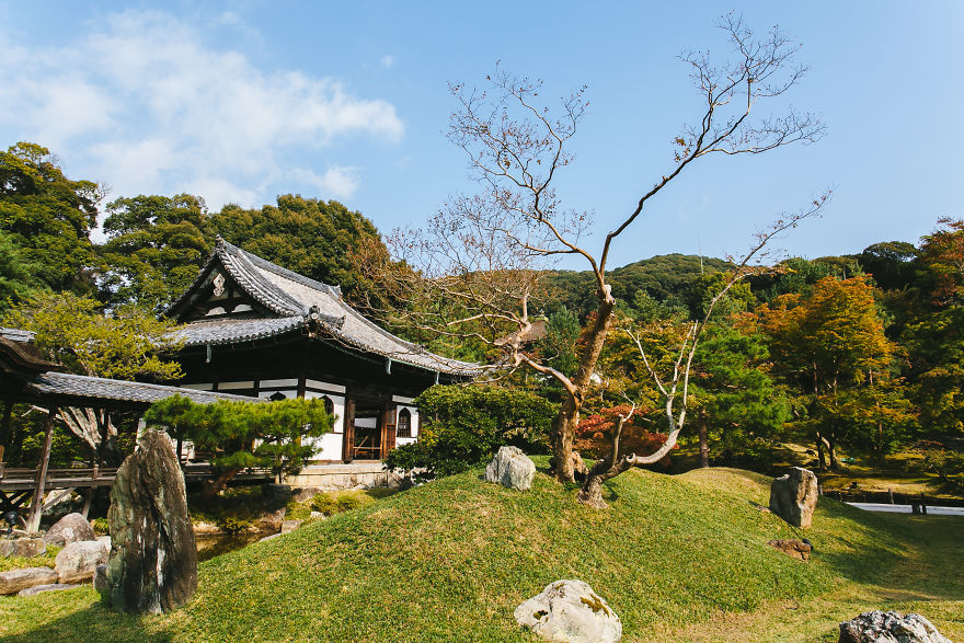 深入日本感受美好旅途 领略精致细腻的国家