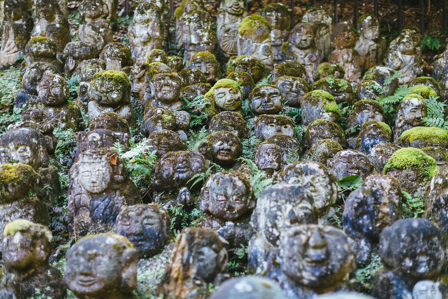 深入日本感受美好旅途 领略精致细腻的国家