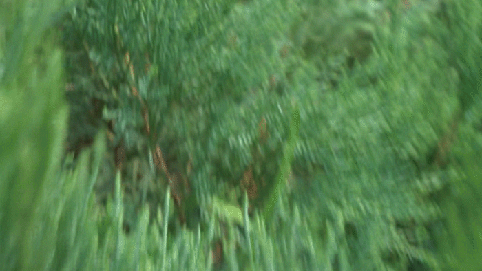 换个角度看世界 解锁云鹤PLUS稳定器新玩法