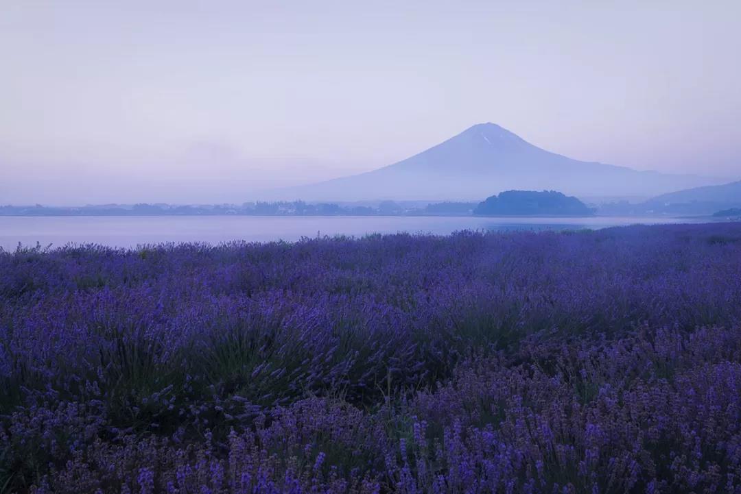 怀着执念与期待  一生只为富士山拍照