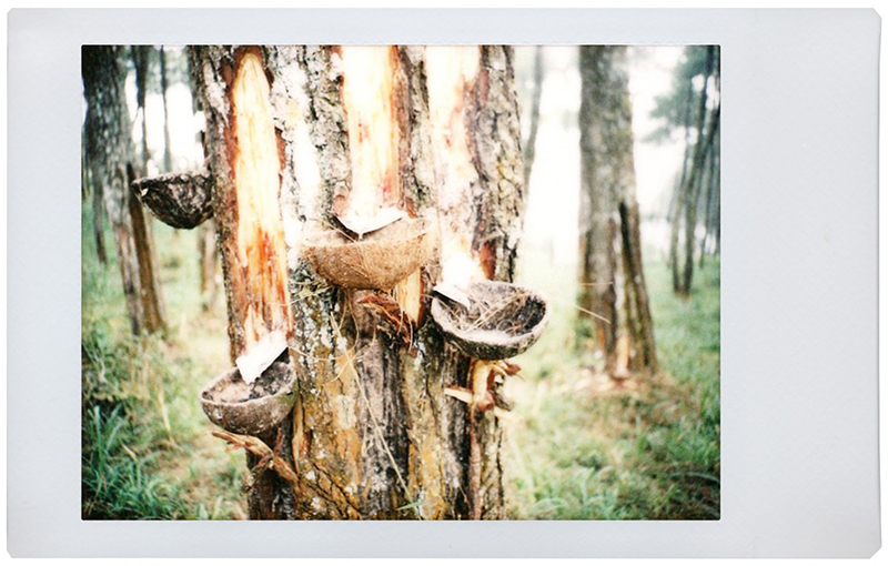 LomographyƳȦ