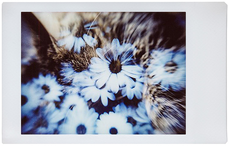LomographyƳȦ