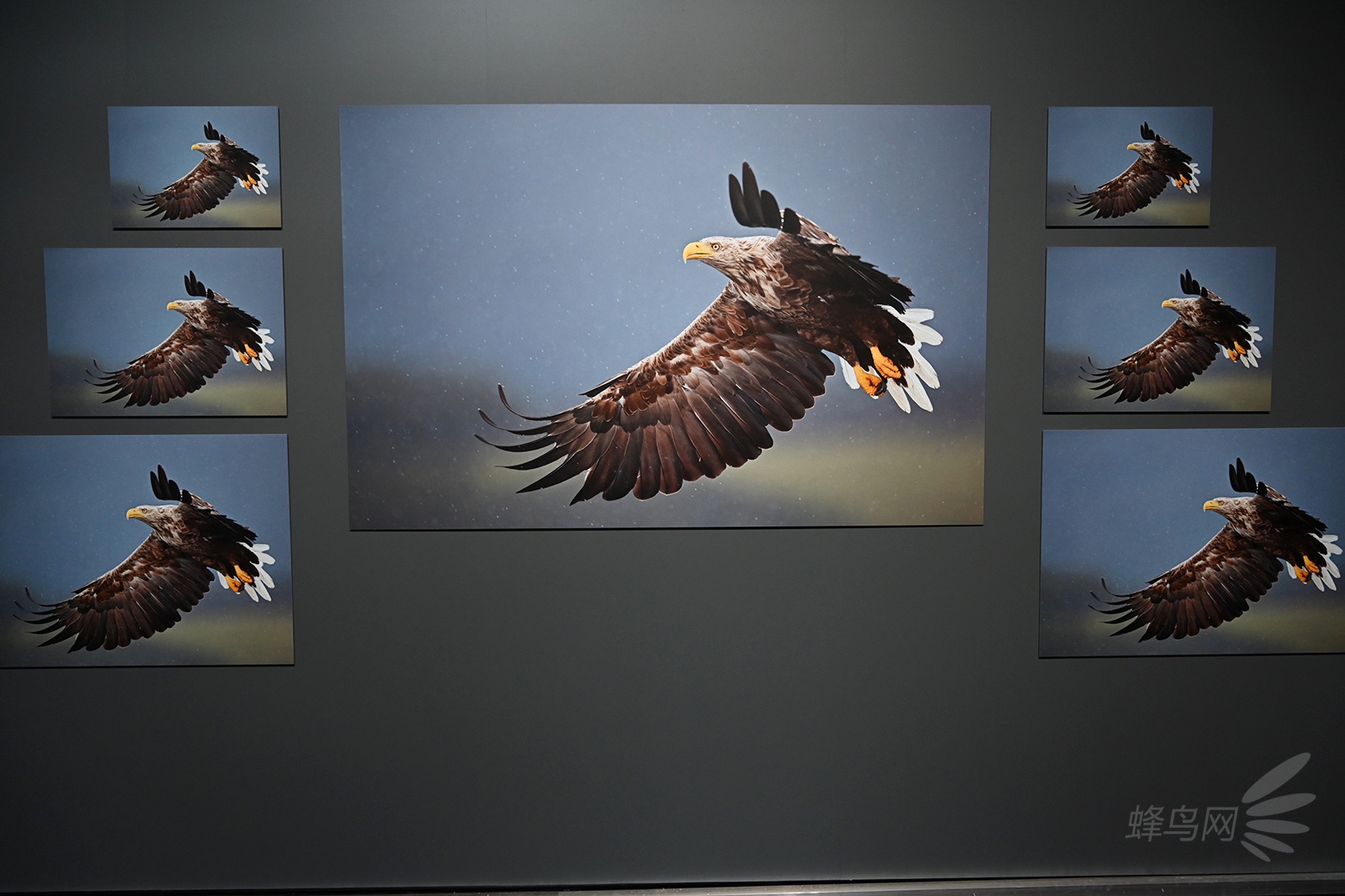 photokina2018：佳能展台现场报道