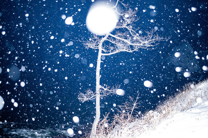 冬|凝固黑夜中飘荡的雪花 寄托内心对冬的迷恋