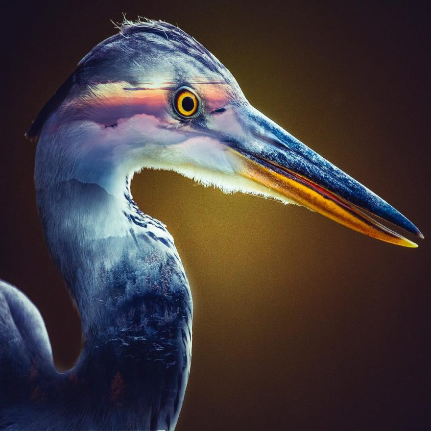 ȡڶƬ λõĶع