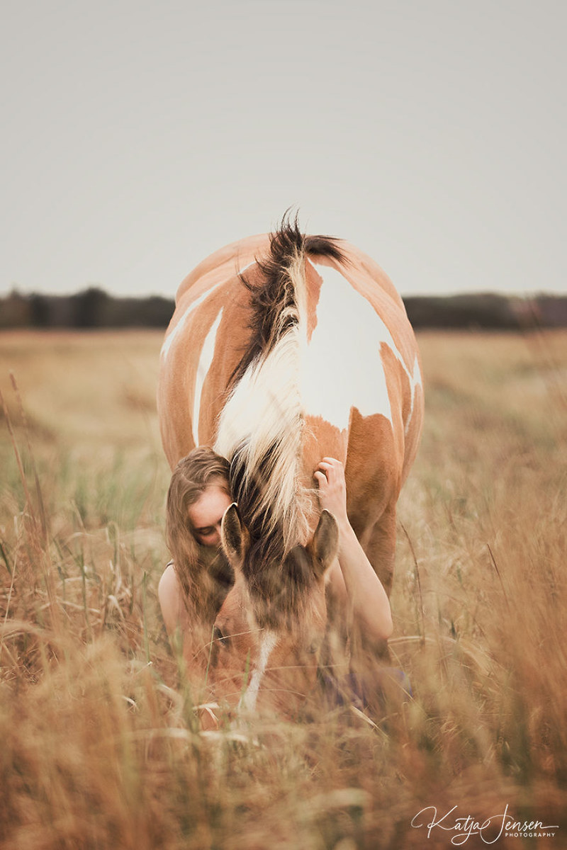 人与马的唯美肖像 享受融入大自然的唯美