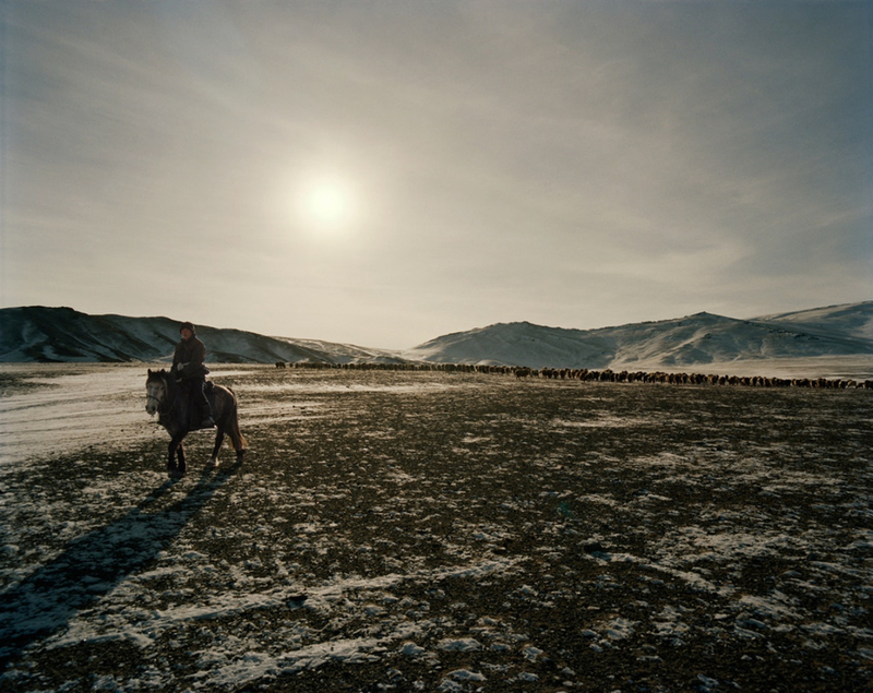 驯鹰捕猎的日常生活 站在自然之巅的蒙古牧民