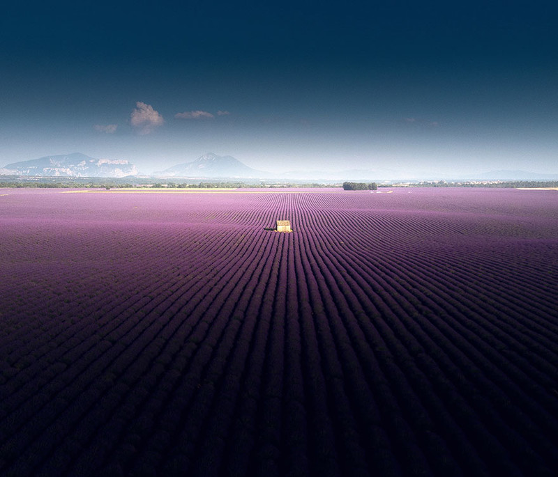回味薰衣草花海 南法普罗旺斯的紫色梦境