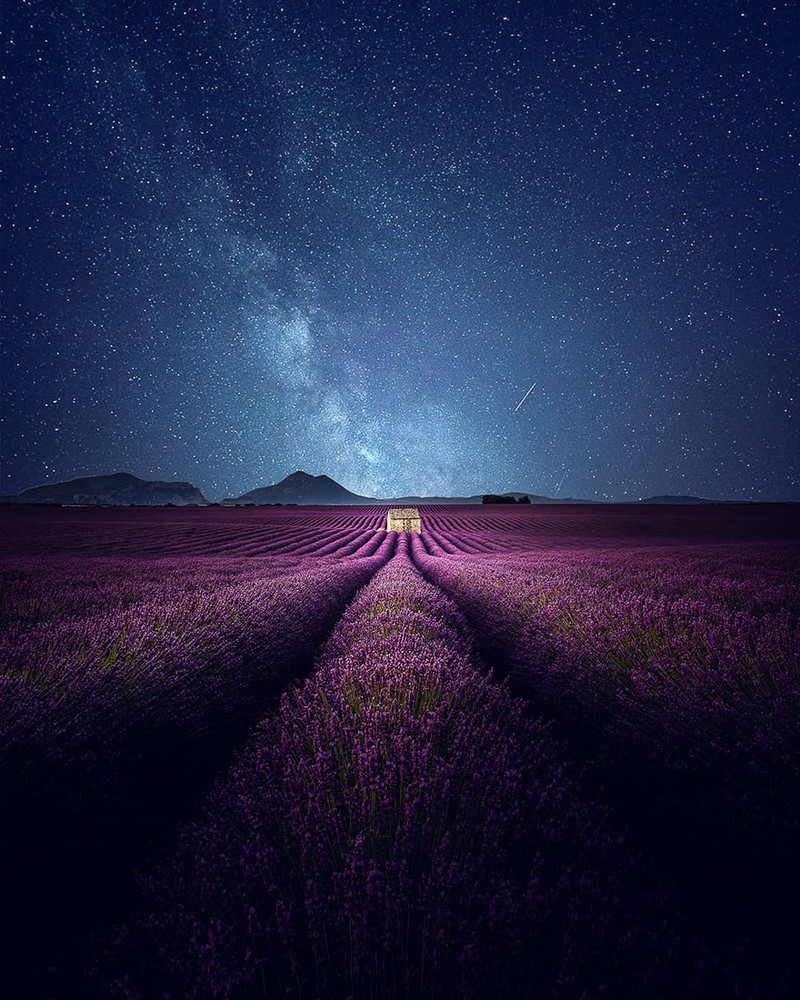 回味薰衣草花海 南法普罗旺斯的紫色梦境