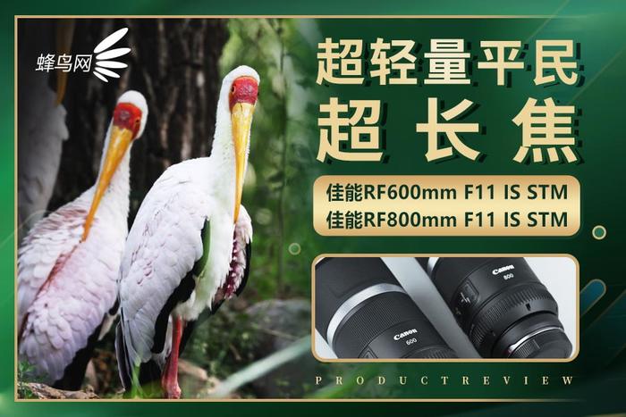 ƽ񳬳 RF600mm/800mm F11 IS STM