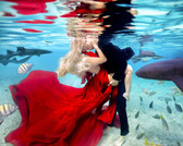 开启震撼视觉的水下婚纱 感想不敢拍的新视野