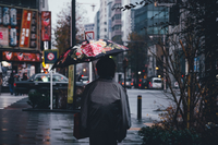 漫步雨中东京 浓郁色调的惬意视觉