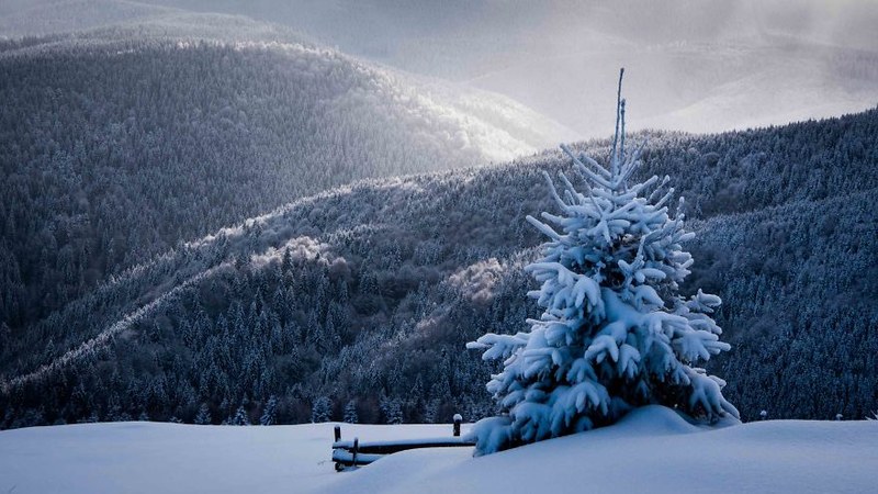 银装素裹的冰封世界 遇见冬季的罗马尼亚