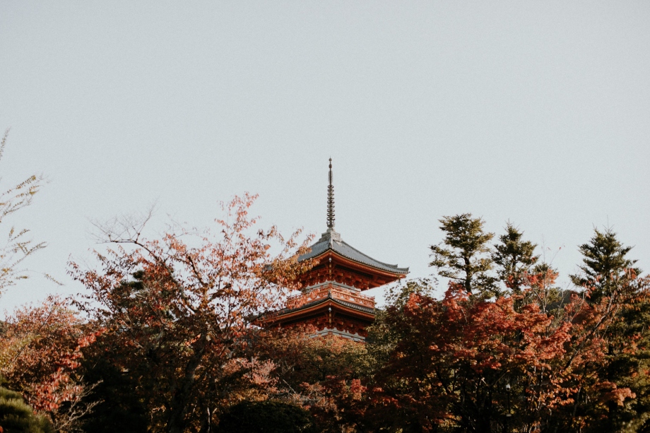 柔和的橘色影调 电影般的日本京都街头